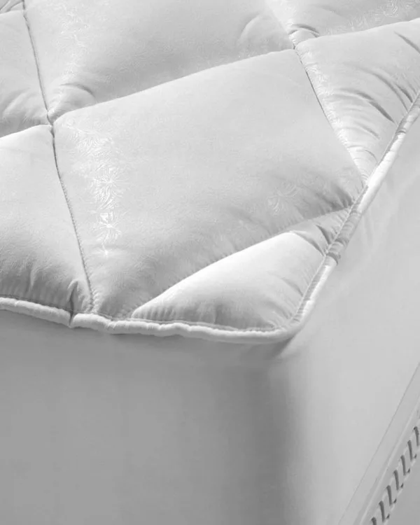 نموذج واقي المرتبة CLEONE